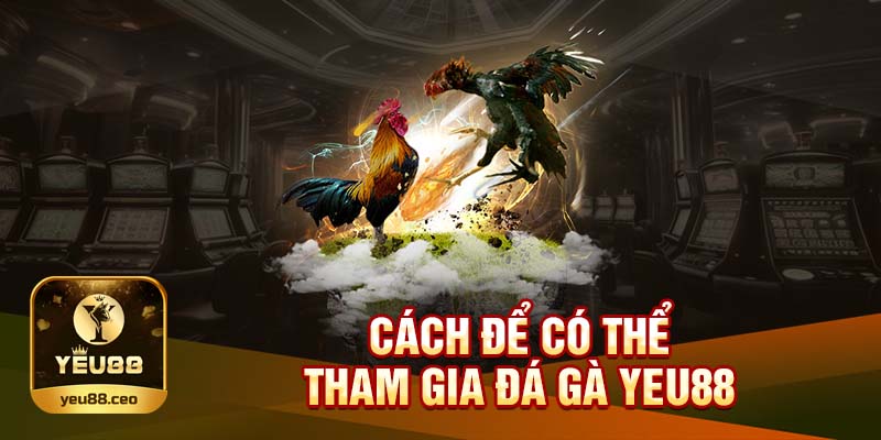 Hướng dẫn để có thể tham gia đá gà Yeu88